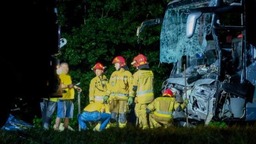 波兰西里西亚发生汽车相撞事故 9人遇难